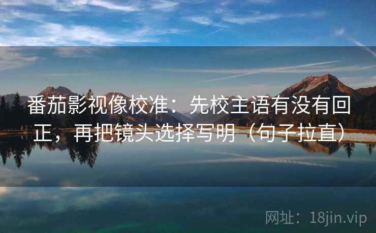 番茄影视像校准:先校主语有没有回正,再把镜头选择写明(句子拉直) 番茄影视像校准:先校主语有没有回正,再把镜头选择写明(句子拉直)